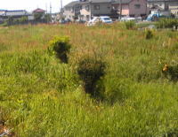 90508_1.jpg