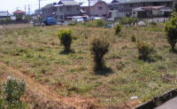 90508_2.jpg