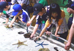 okinawa20.jpg