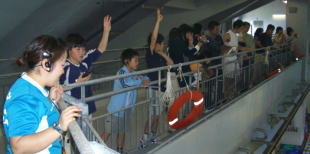 okinawa22.jpg