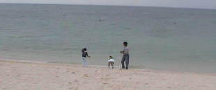 okinawa39.jpg