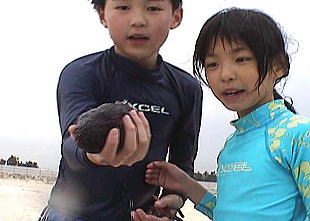 okinawa42.jpg