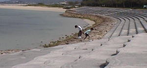 okinawa44.jpg