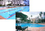 p13.jpg