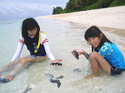 p23.jpg