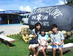 p35.jpg