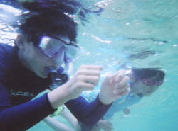 p46.jpg