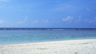 p51.jpg