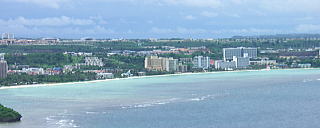 p53.jpg